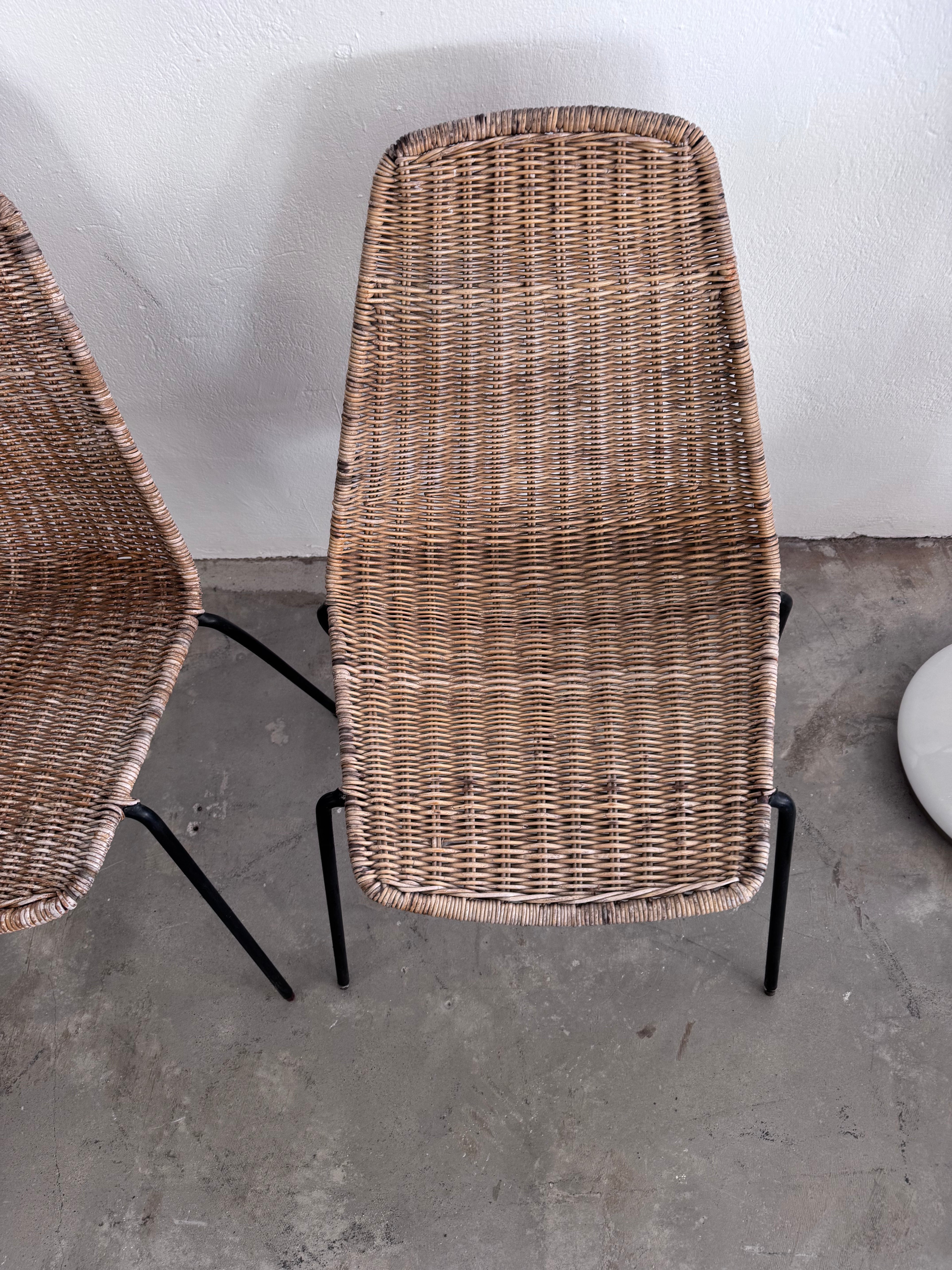 Gian Franco Legler Korbstuhl – Mid Century Rattan Esszimmerstuhl, Italien 1950er/60er, Stahlgestell
