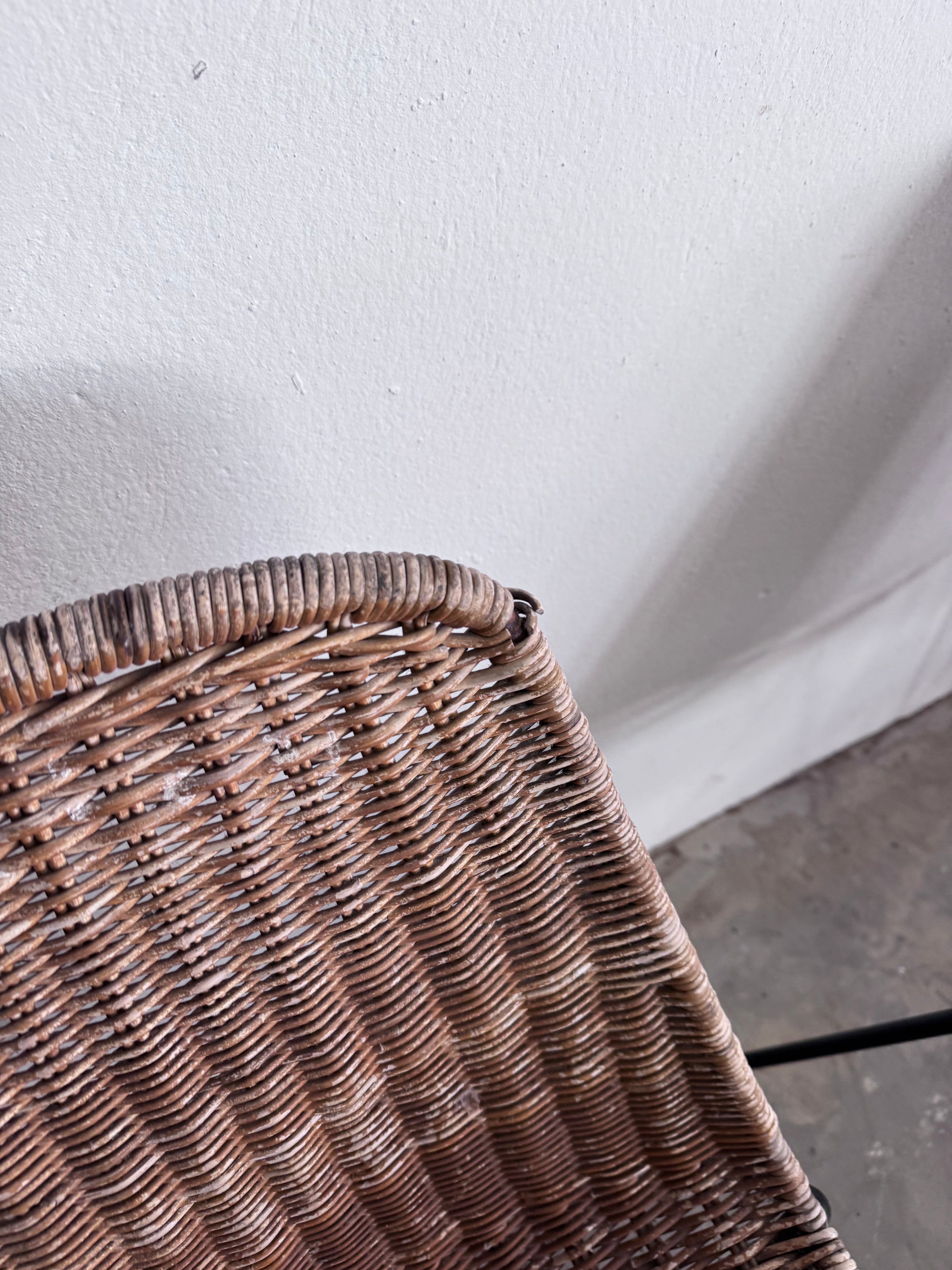 Gian Franco Legler Korbstuhl – Mid Century Rattan Esszimmerstuhl, Italien 1950er/60er, Stahlgestell